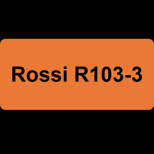 Rossi R103-3